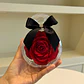 Perfume de Amor - Miniatura 1