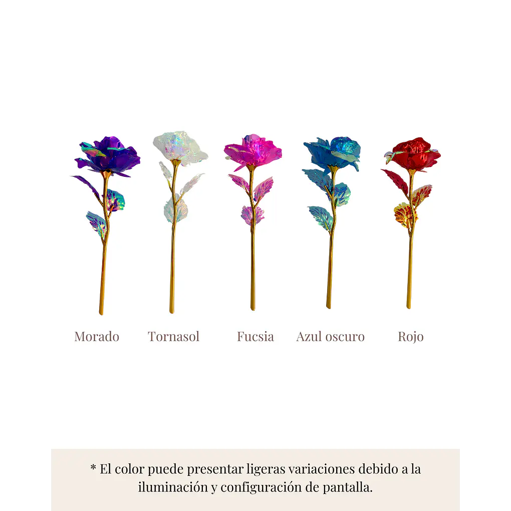 Rosa Galaxy con Virgen Mini 2