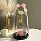 Rosa Galaxy - Miniatura 1