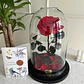 Rosa Encantada Premium - Miniatura 1