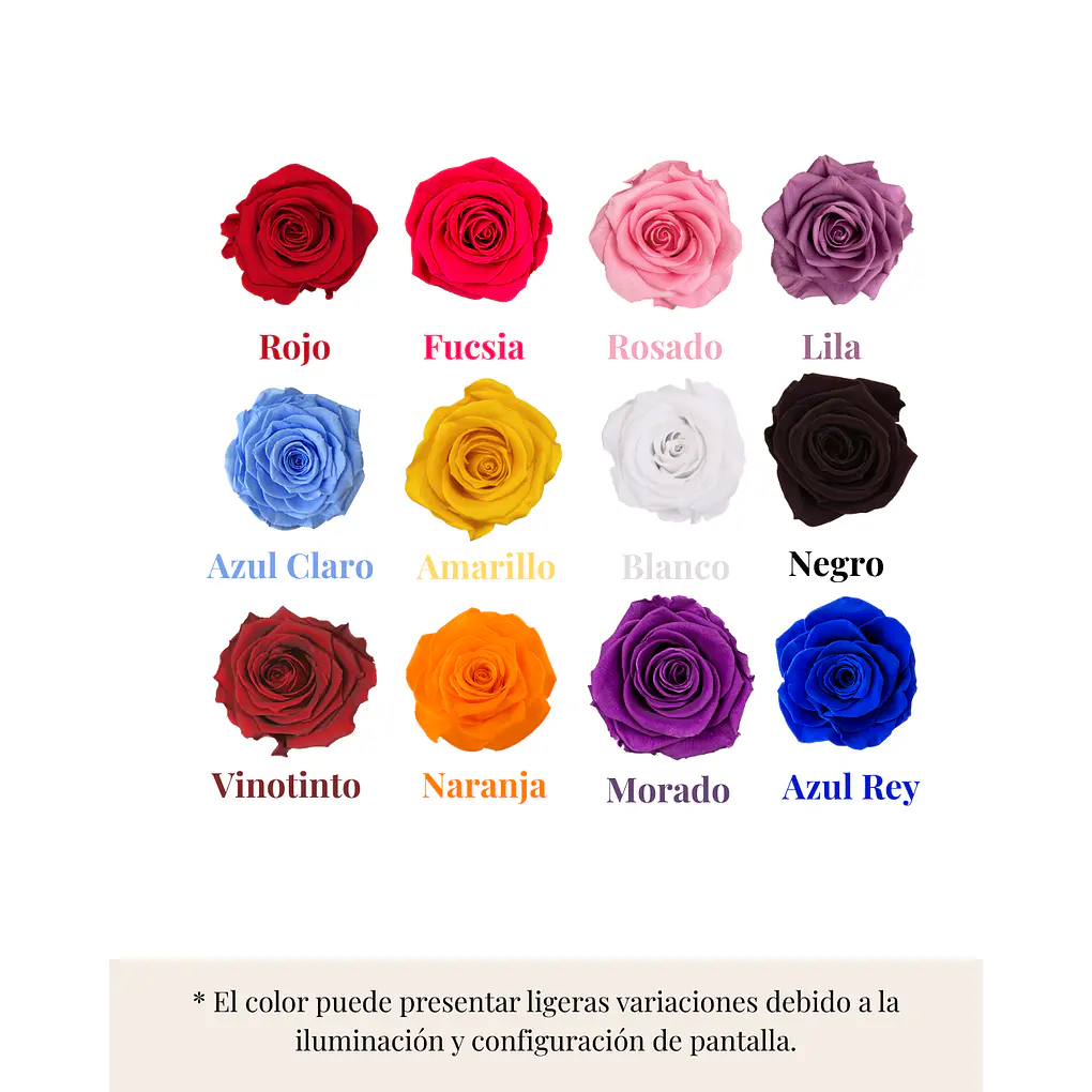 Rosa Encantada Premium 4