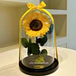 Girasol Encantado Premium - Miniatura 1
