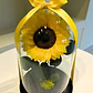 Girasol Encantado Premium - Miniatura 2