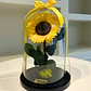Girasol Encantado Premium - Miniatura 3