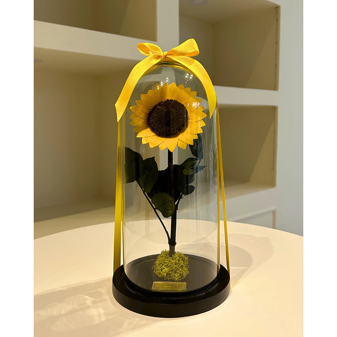 Girasol Encantado Mediano 1