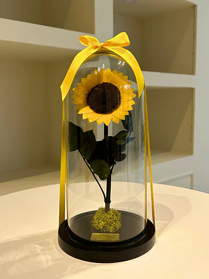 Girasol Encantado Mediano