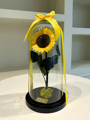 Girasol Encantado Mediano