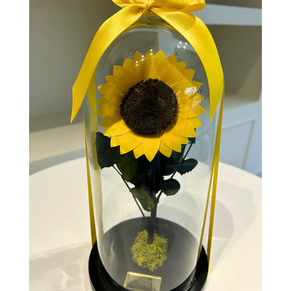 Girasol Encantado Mediano 3