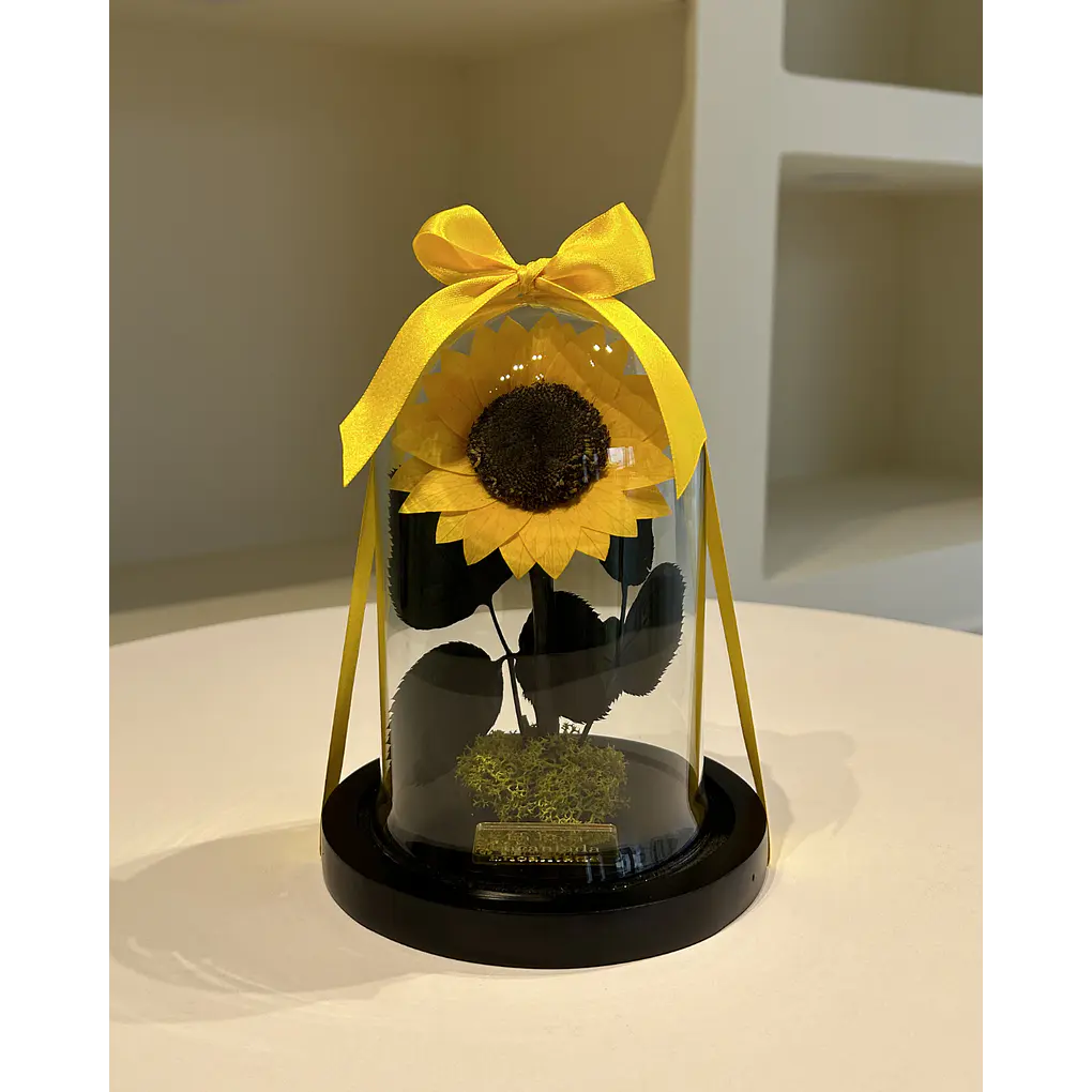 Girasol Encantado Mini 1