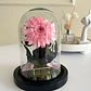 Gerbera Encantada Mini - Miniatura 1