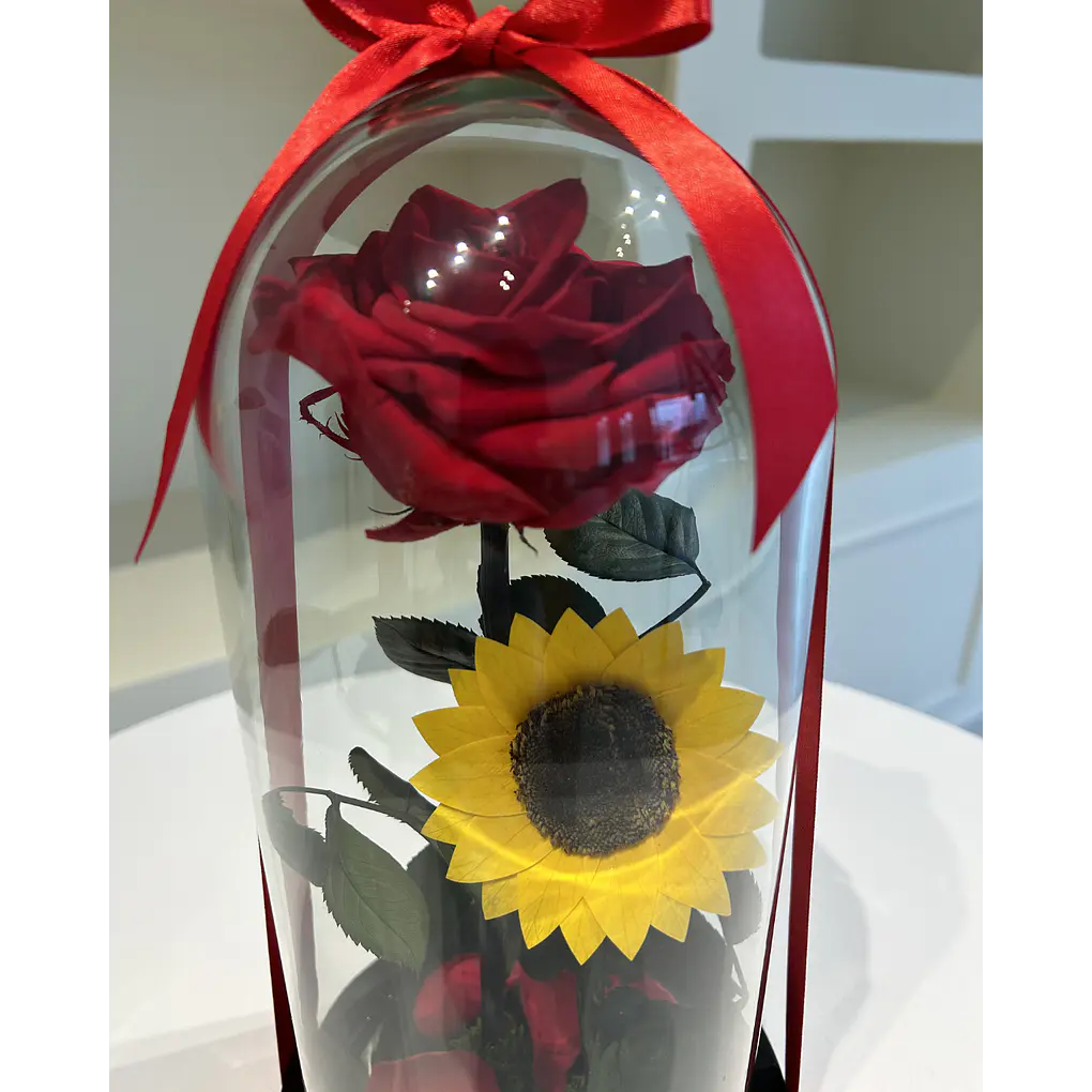 Jardín Encantado - Rosa y Girasol 3