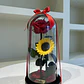 Jardín Encantado - Rosa y Girasol - Miniatura 4