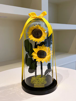 Jardín Encantado - Doble Girasol