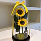 Jardín Encantado - Doble Girasol - Miniatura 1