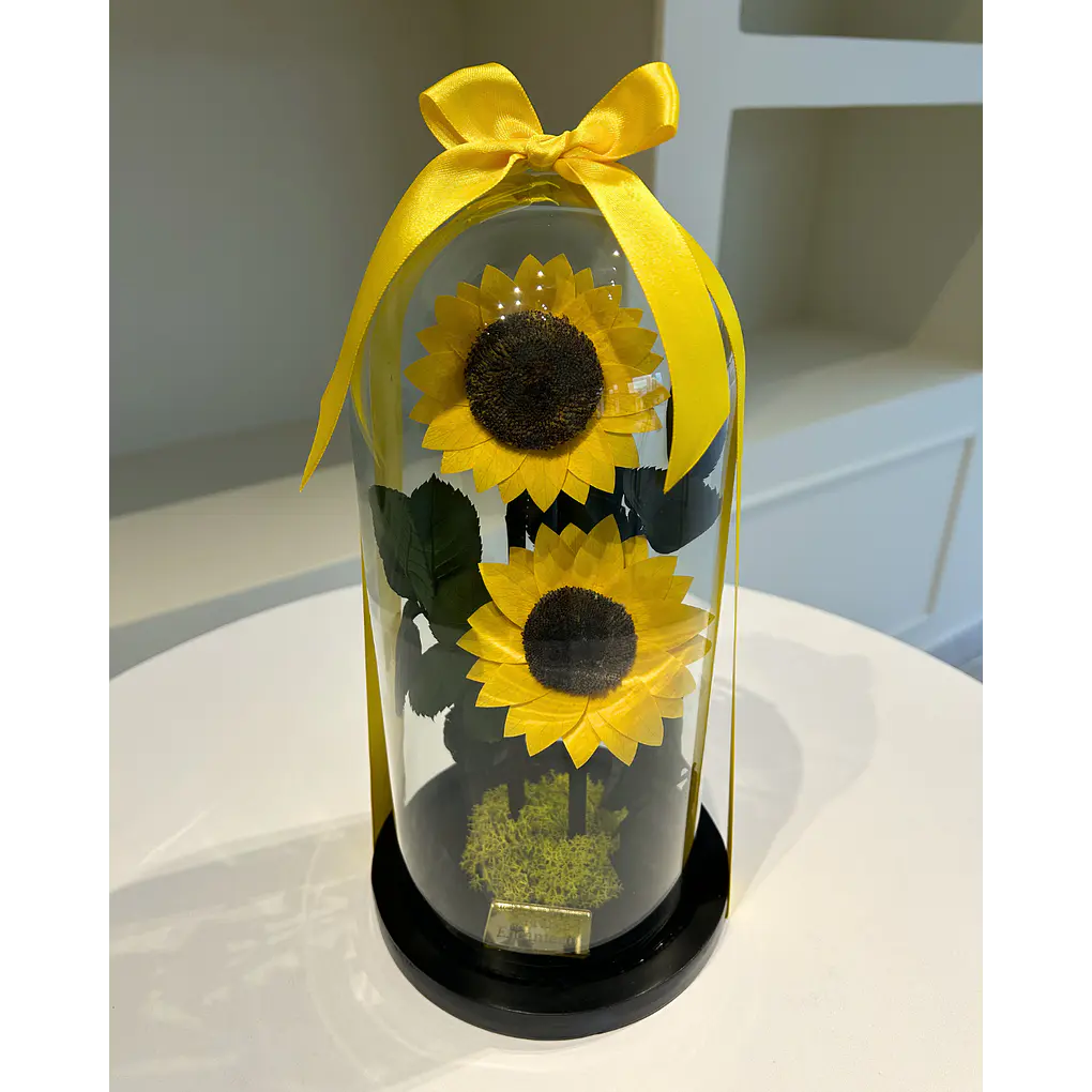 Jardín Encantado - Doble Girasol 3