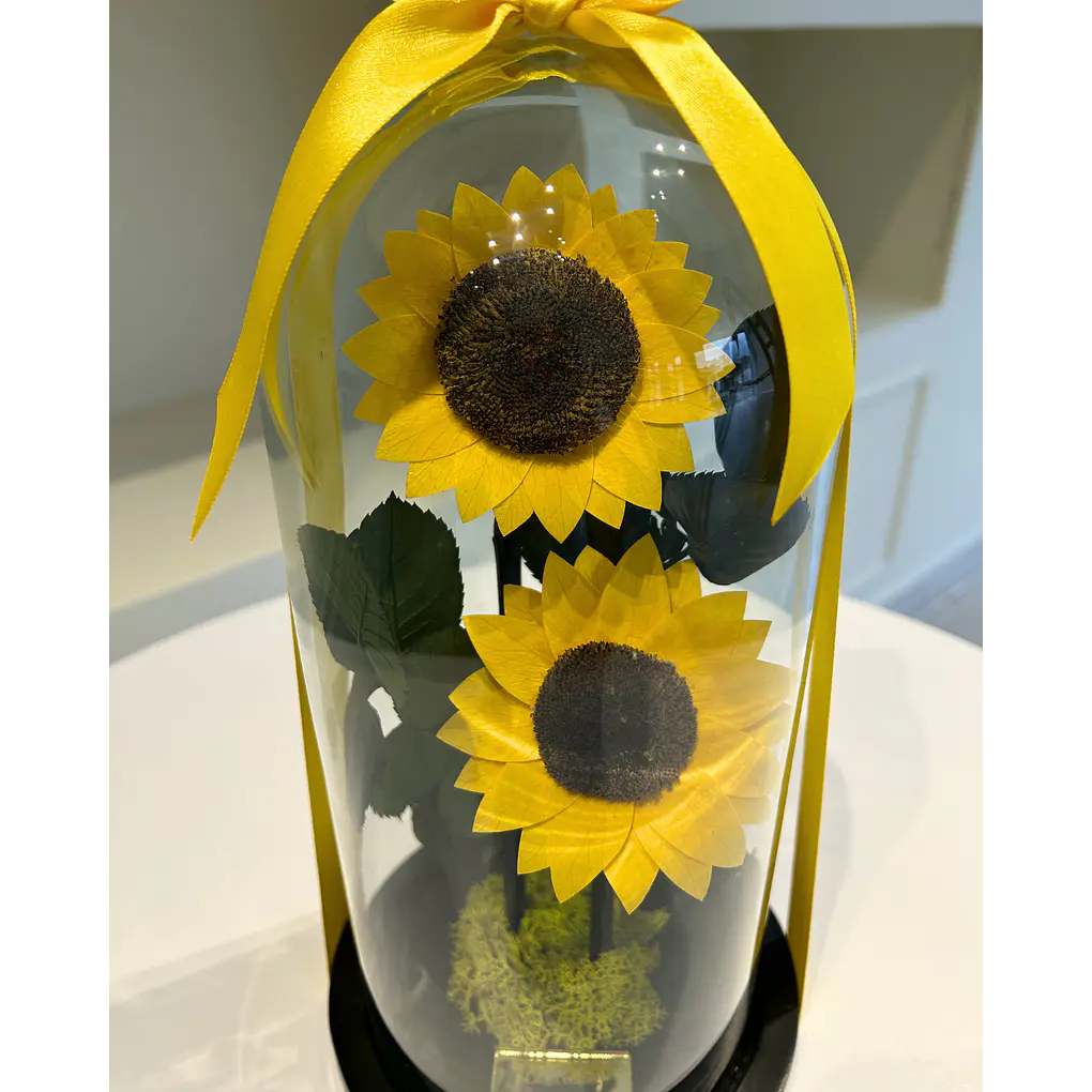 Jardín Encantado - Doble Girasol 4