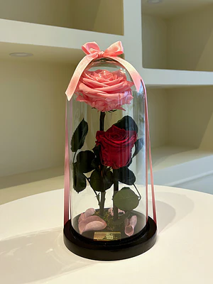 Jardín Encantado - Doble Rosa