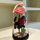 Jardín Encantado - Doble Rosa - Miniatura 1