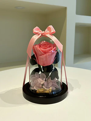 Rosa Encantada Mini