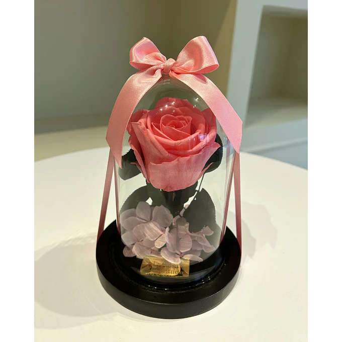 Rosa Encantada Mini 3