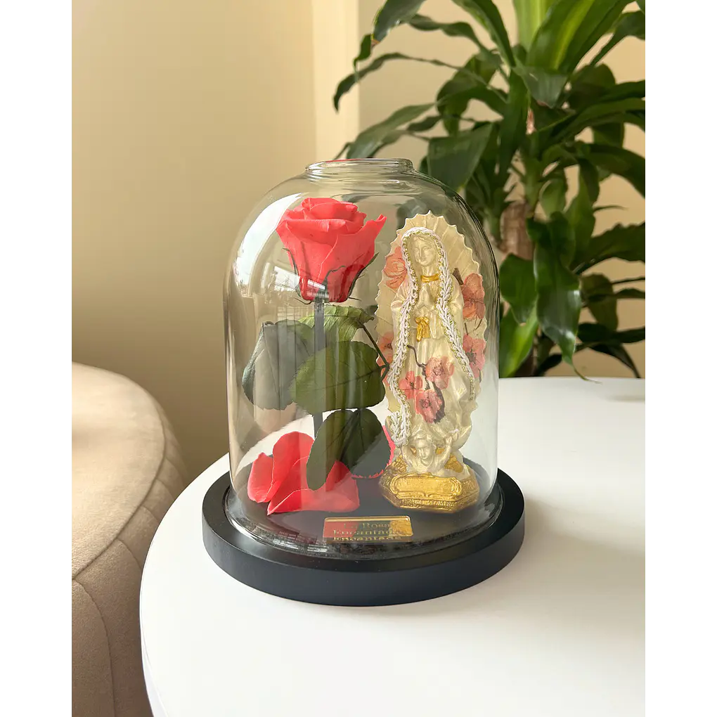 Encantada Bendita Mini 1