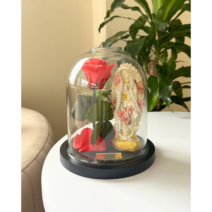 Encantada Bendita Mini 1