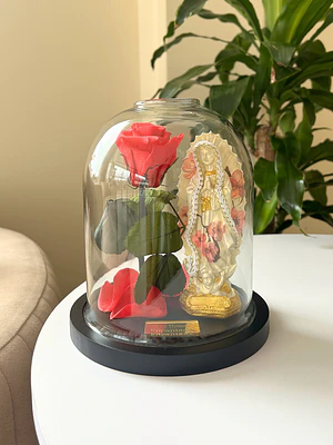 Encantada Bendita Mini