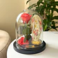 Encantada Bendita Mini - Miniatura 1