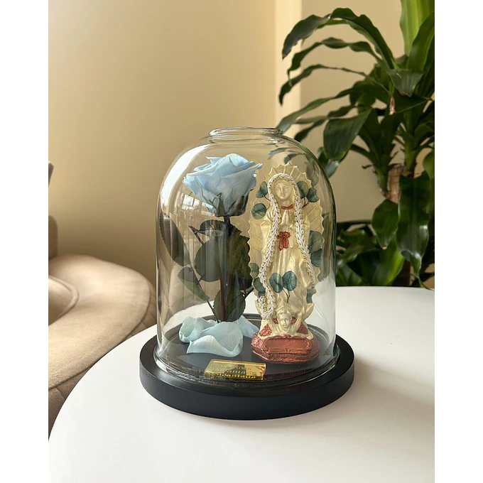 Encantada Bendita Mini 2