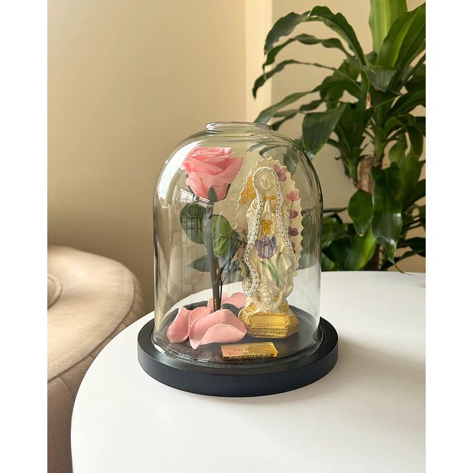 Encantada Bendita Mini 3