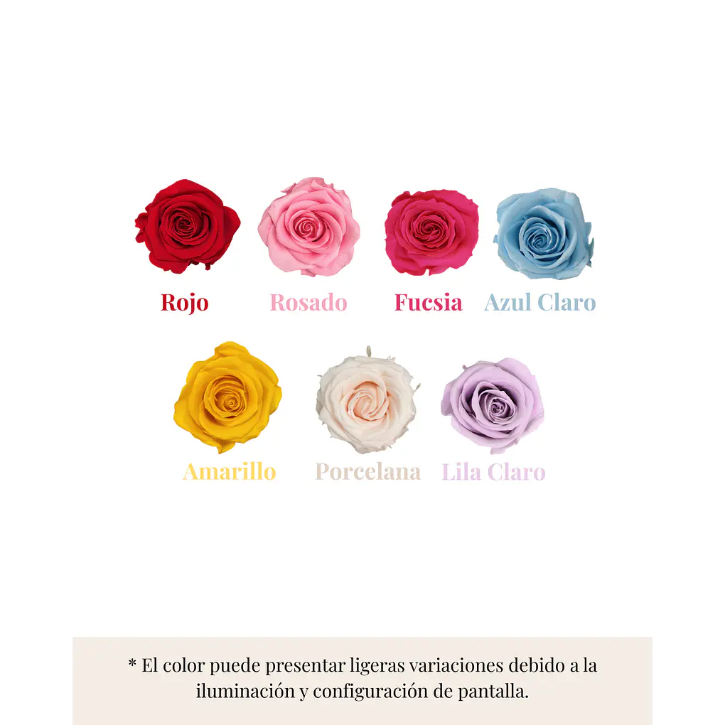 Encantada Bendita Mini 6