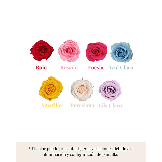Encantada Bendita Mini 6
