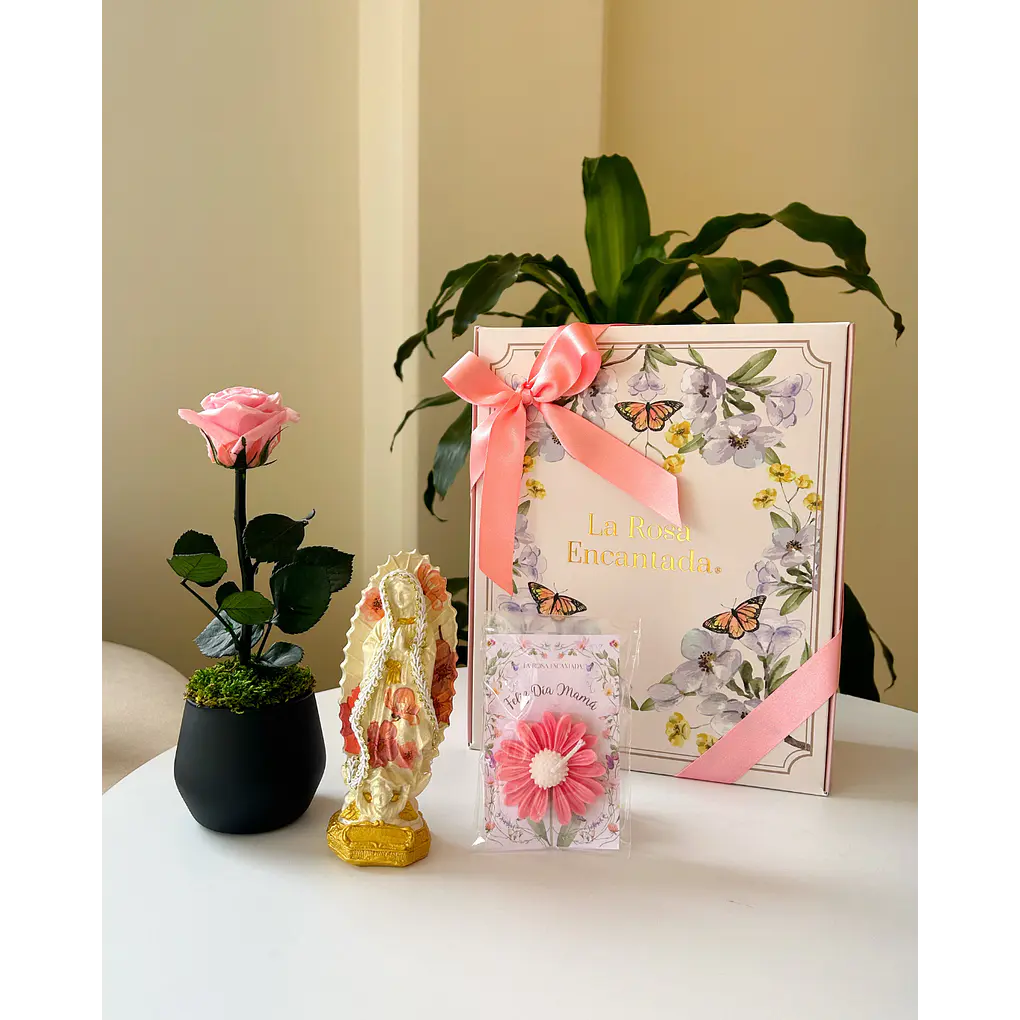 Kit Florecer 1