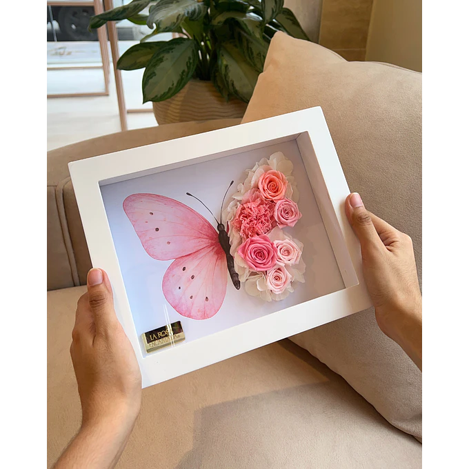 Cuadro Mariposa 1