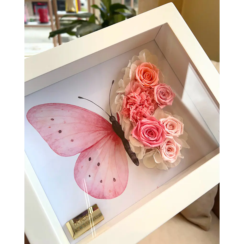 Cuadro Mariposa 3