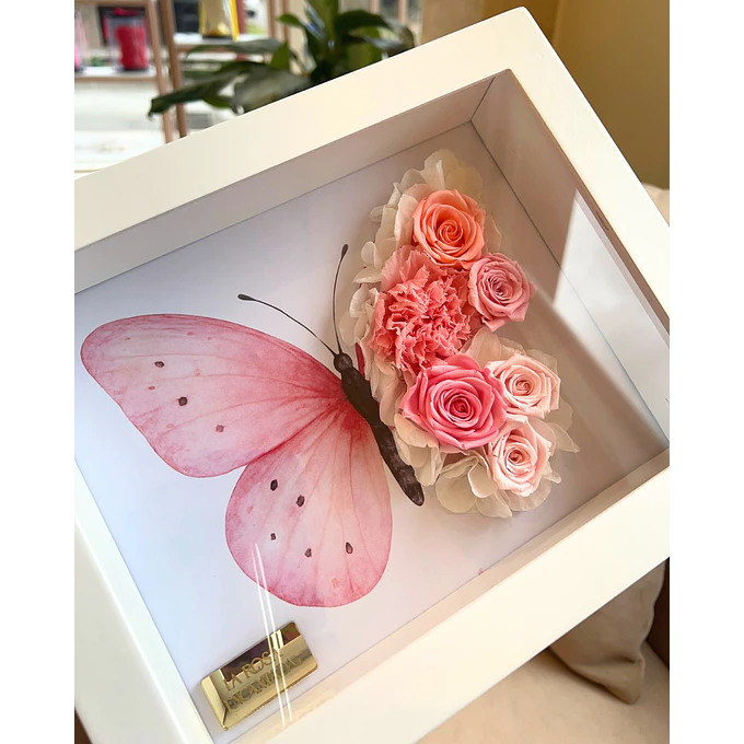 Cuadro Mariposa 3