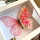 Cuadro Mariposa - Miniatura 3