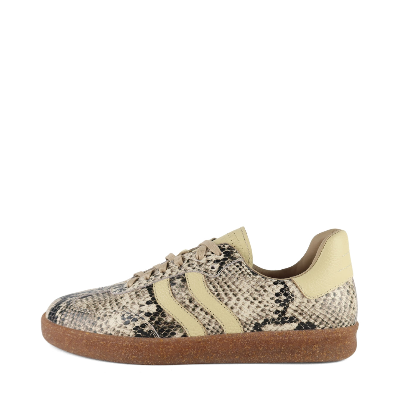 ZAPATILLA TAYLOR - PITÓN Luxe 1