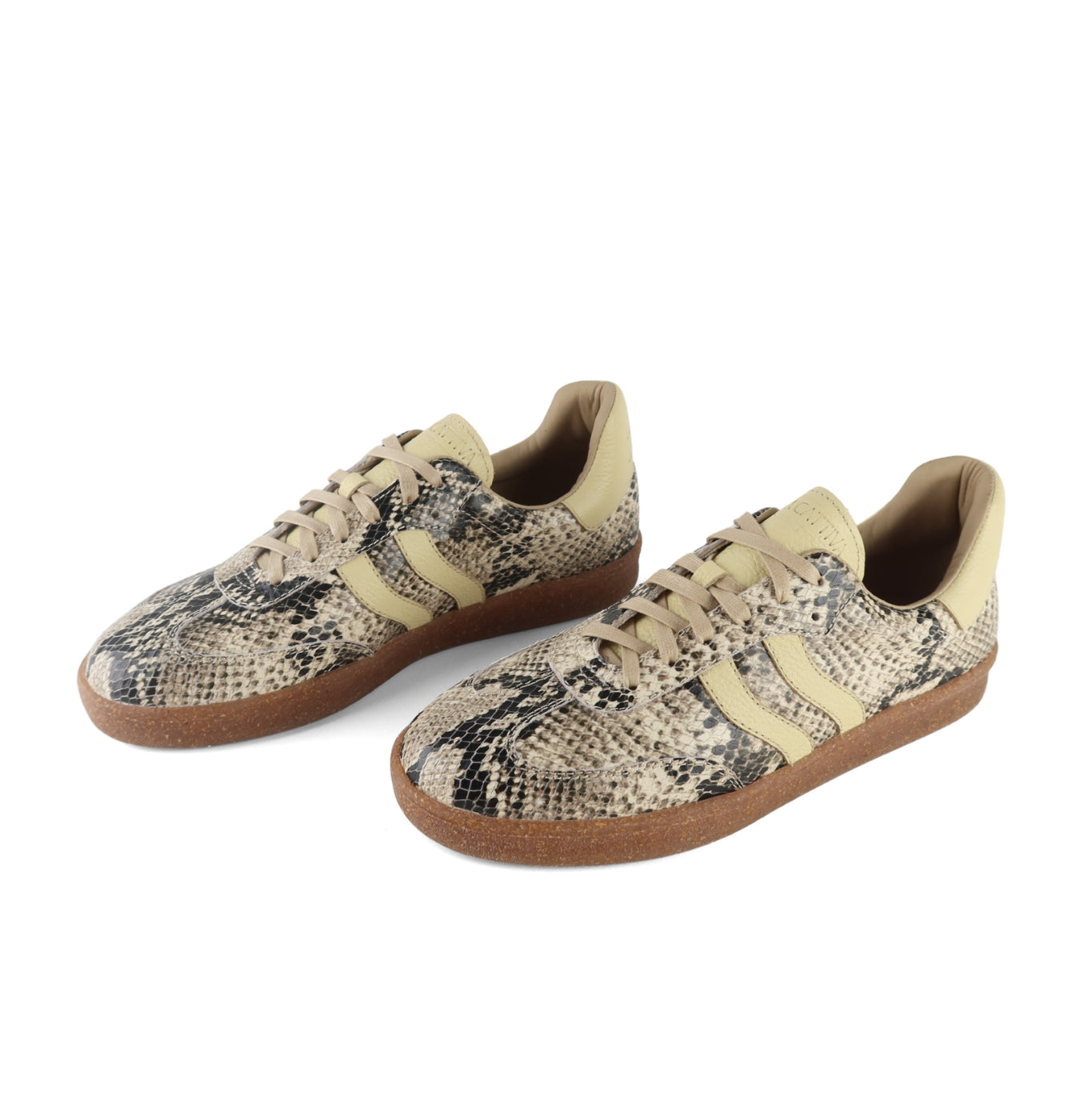 ZAPATILLA TAYLOR - PITÓN Luxe 2