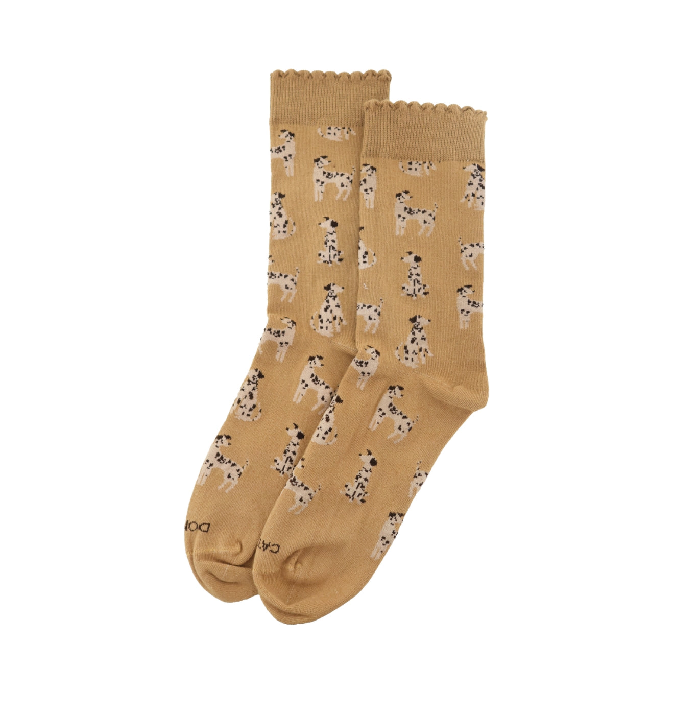 MEDIA LARGA PERRITO -MANÍ Exclusive 2