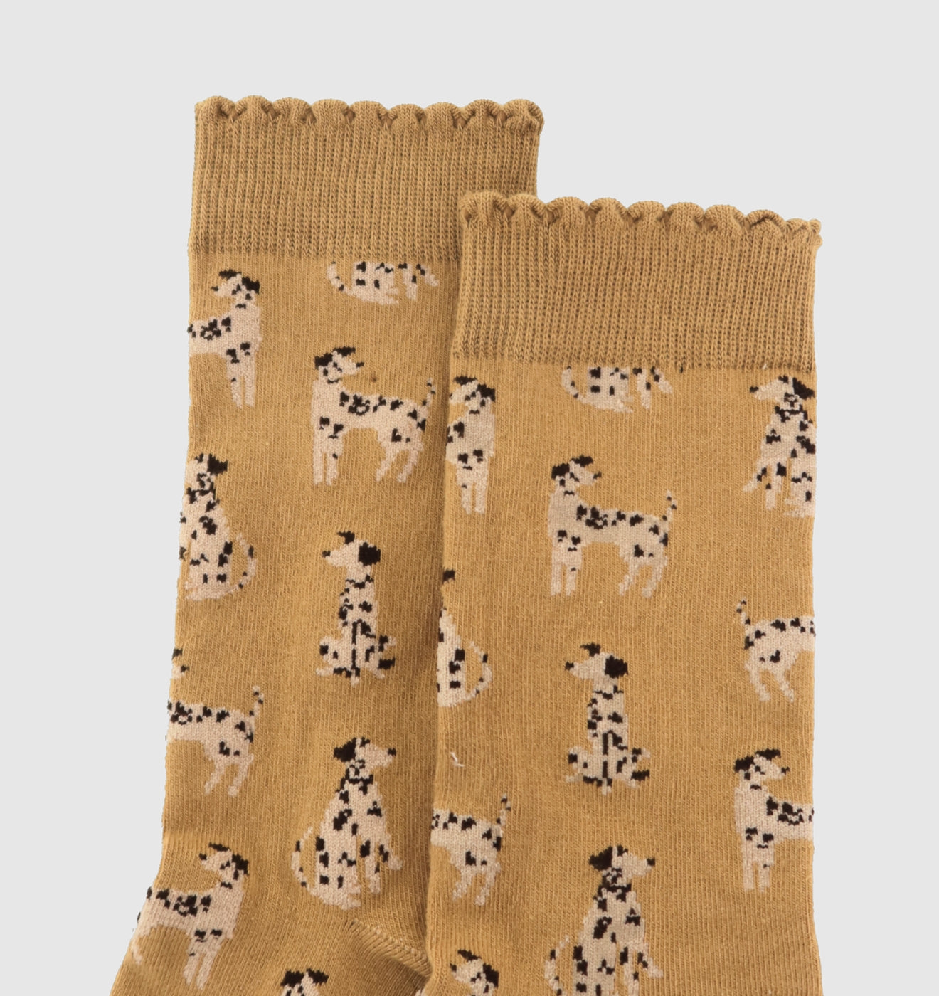 MEDIA LARGA PERRITO -MANÍ Exclusive 3