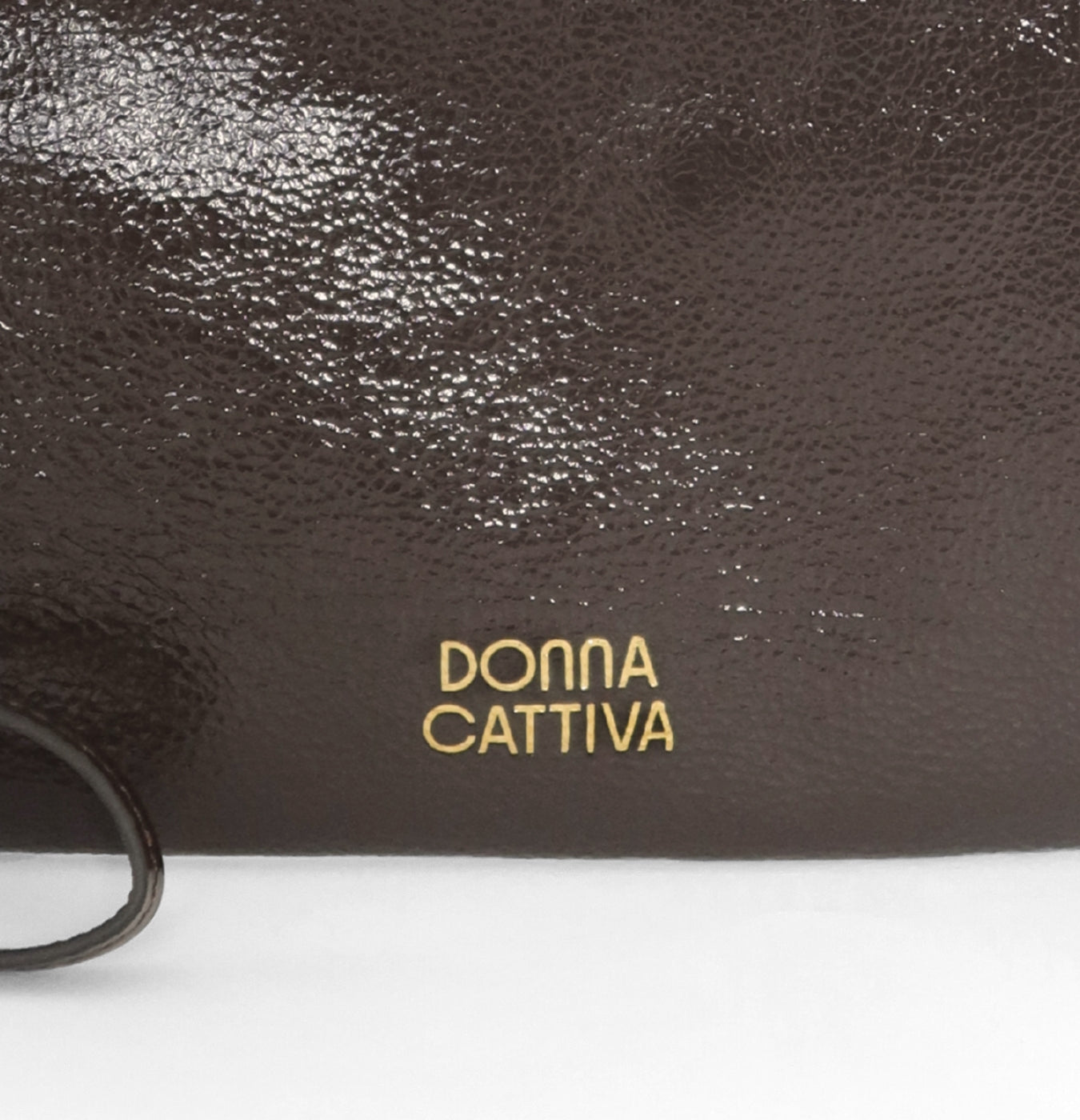 CARTERA COTE - MARRÓN BRILLOSO Line 4