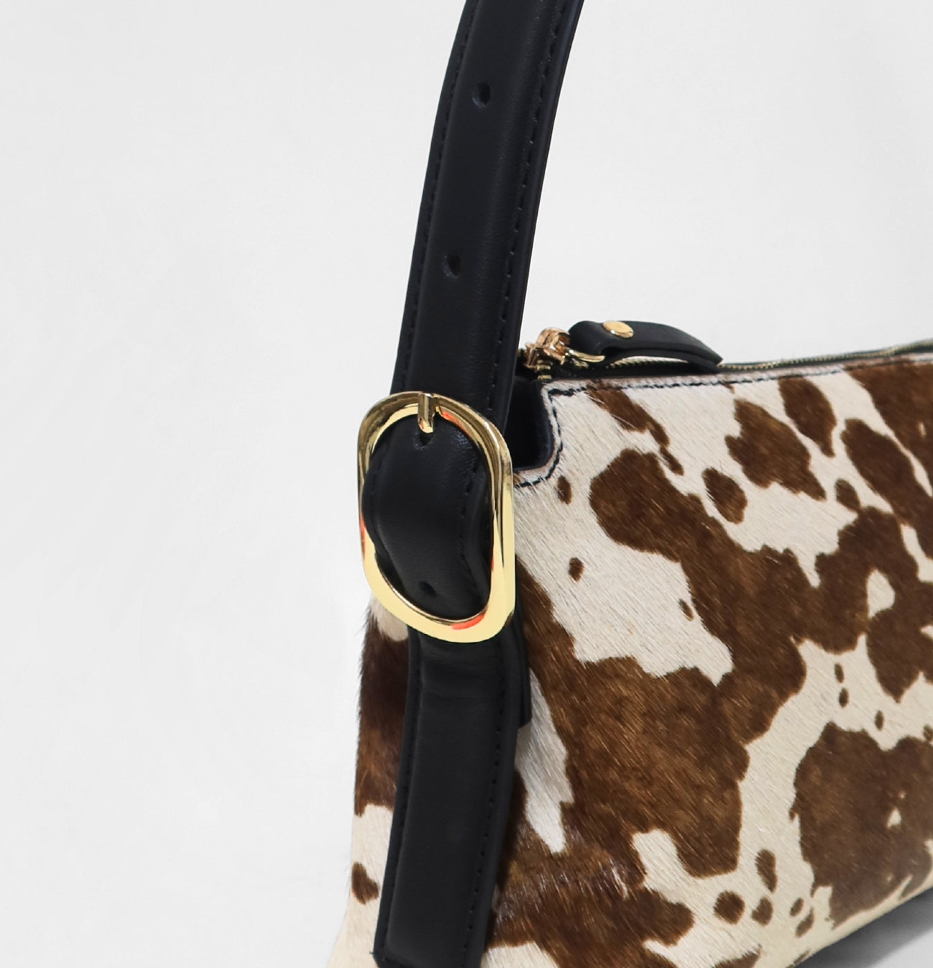 CARTERA YARA - VACA Studio 2