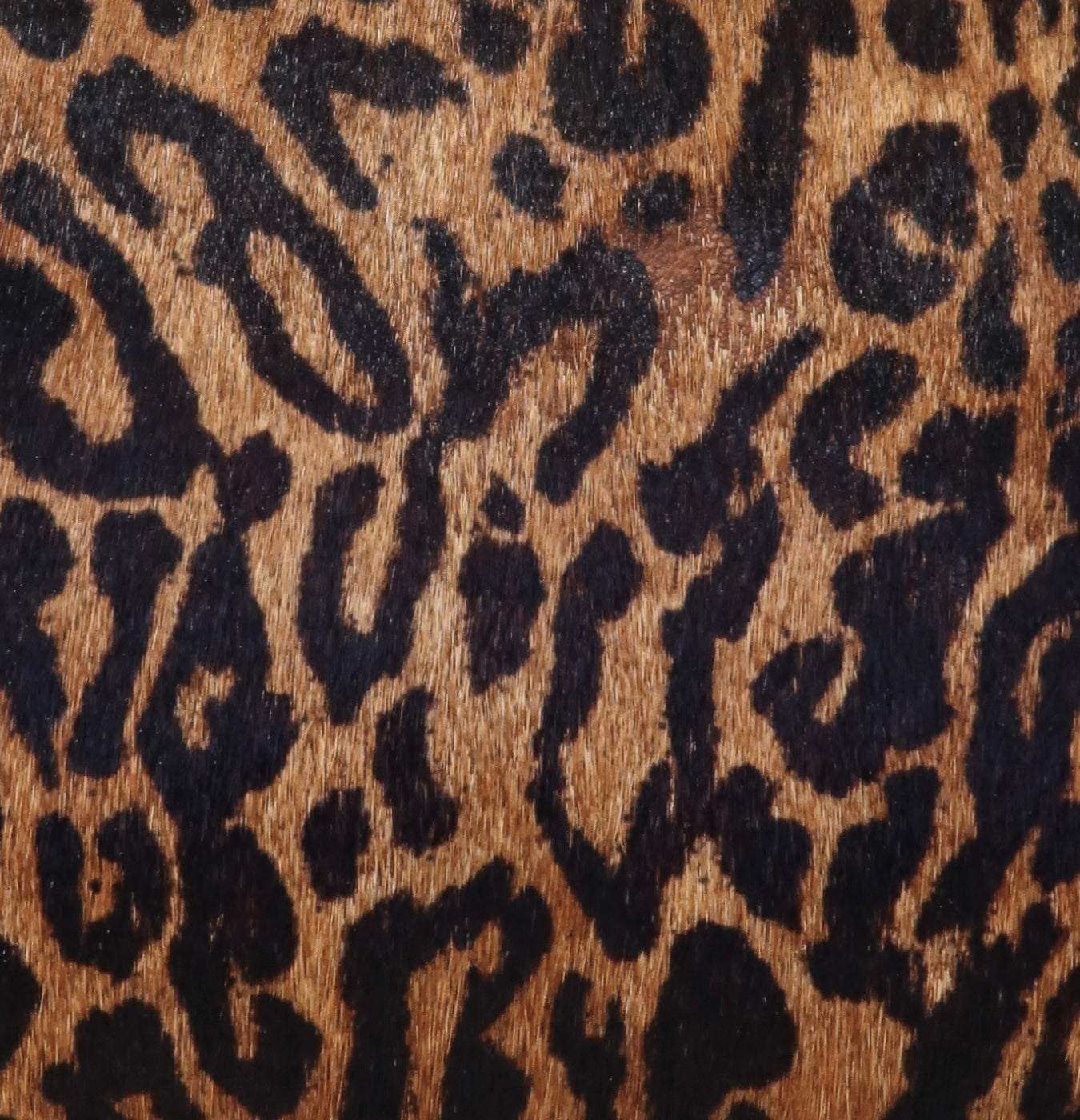 Refined CARTERA YARA - CHEETAH 3