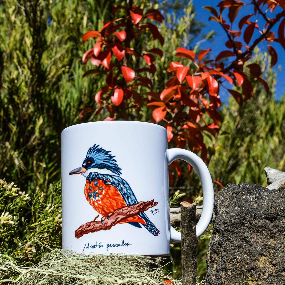 Tazón Martín Pescador 2