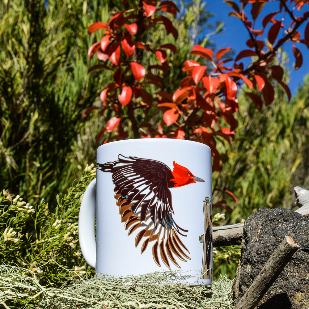 Tazón Pájaro Carpintero 1