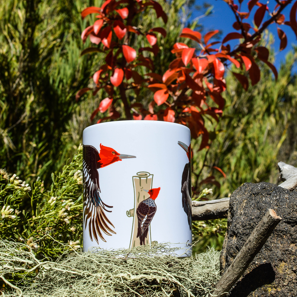 Tazón Pájaro Carpintero 2