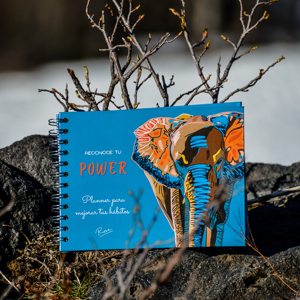 Planner Reconoce tu Power 7