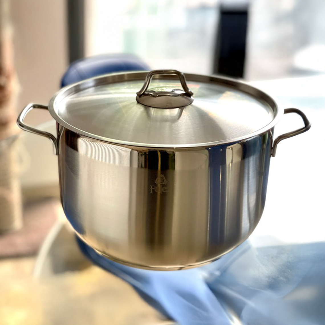 FALEZ NEO GAMA Acero Inoxidable 24 x 14 Olla (tapa metálica) 2