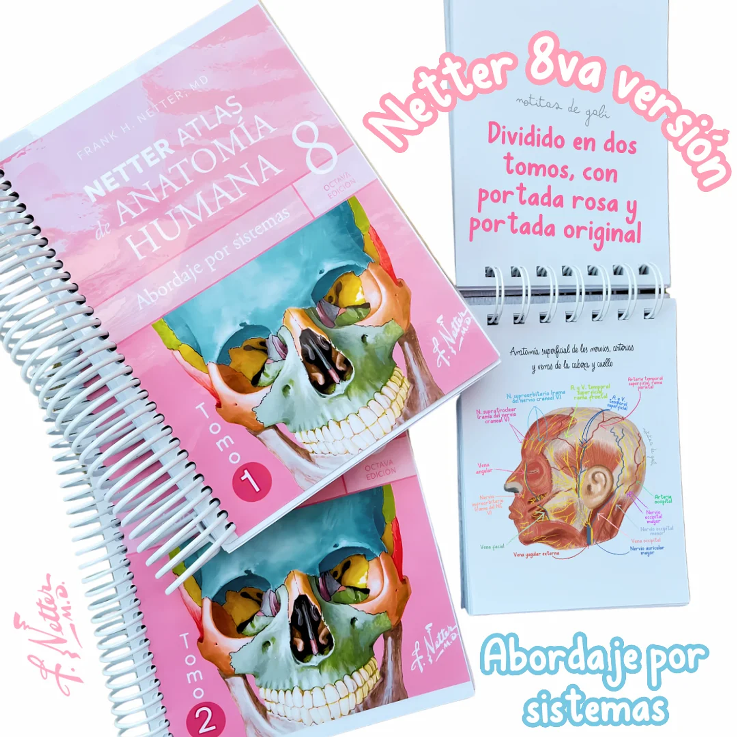 Atlas de Anatomía - Netter 8va Edición 1